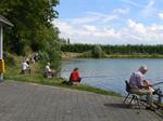 Broeksevijver